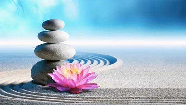 Package of 20 Mega Detox Colonic Treatments - Colonics Gold Coast